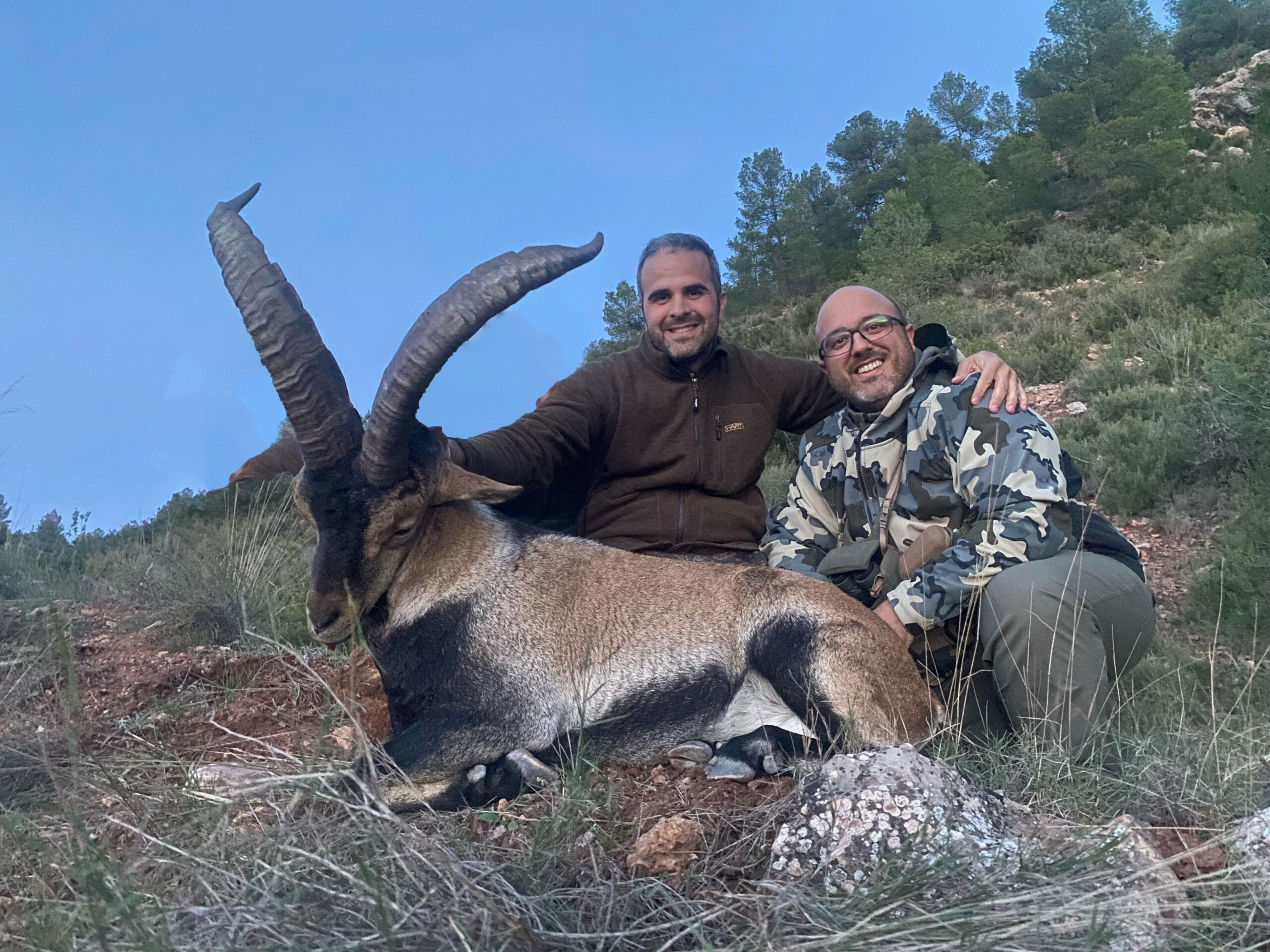caza-macho-montes